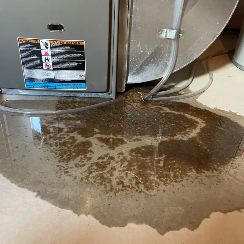 Appliance Leak Cleanup in Union City, CA